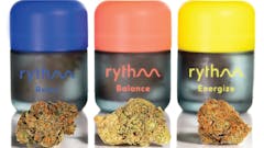 15% off all Rythm Flower