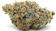 $10 Off Top Shelf Purple Sunset #10 - 1/8's only!