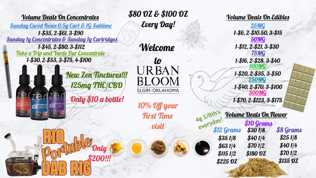 Urban Bloom