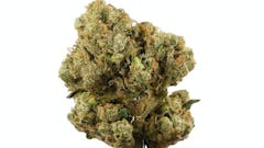Nickel&Dime Sour Diesel 27% THC $95 14g / $155 28g