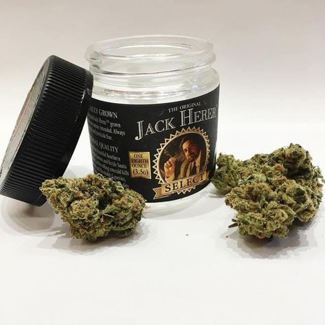 Natural Herbal Pain Relief