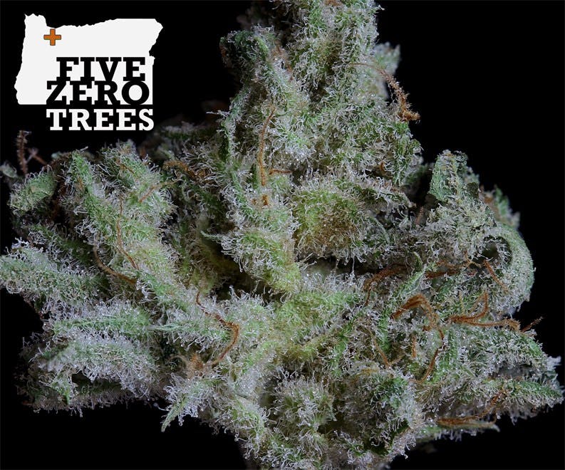 Five Zero Trees East - NOW OPEN!!