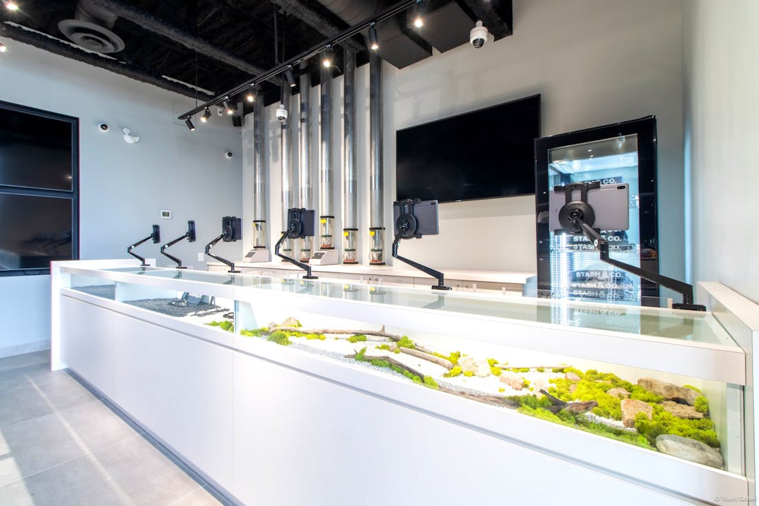 Stash & Co. - Merivale - Now Open!