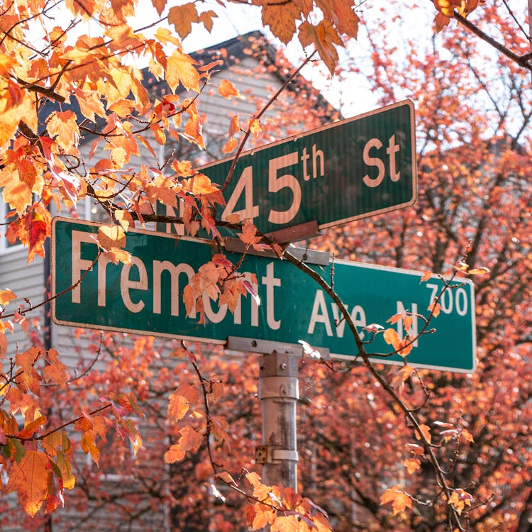 Lux Pot Shop - Fremont Now Open!