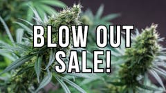 Select Items 20% off!!!