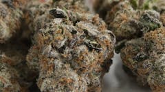 $25 OFF - Platinum GSC Oz.