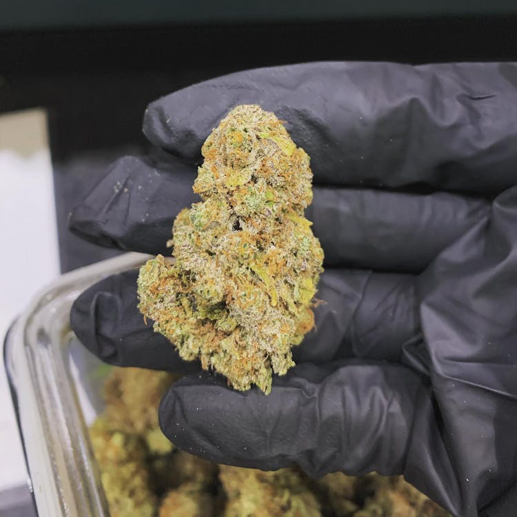 Lucy Sky Cannabis Boutique - Englewood