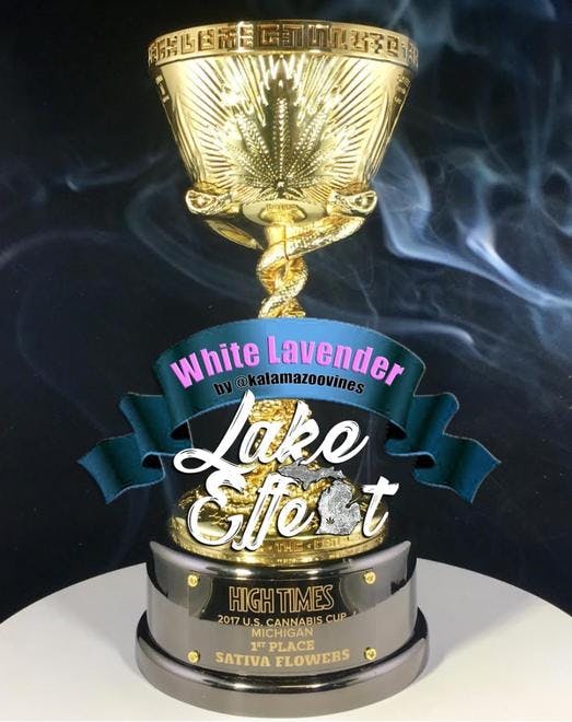 Lake Effect (Medical)