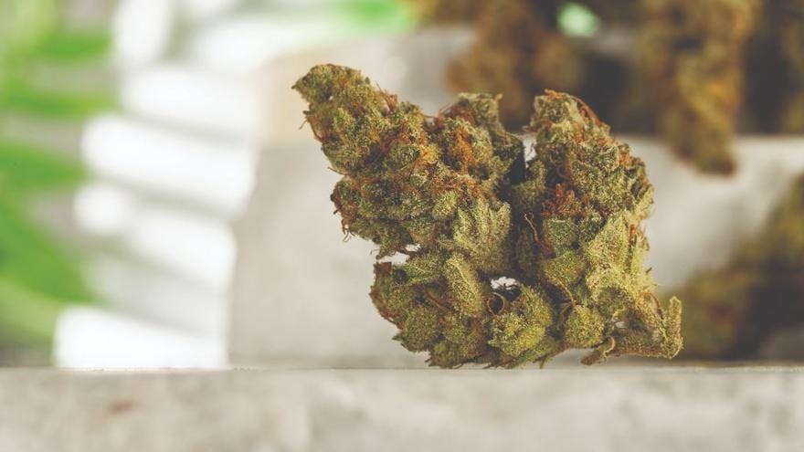 Lotus Gold Dispensary by CBD Plus USA - 420 Pennsylvania Ave