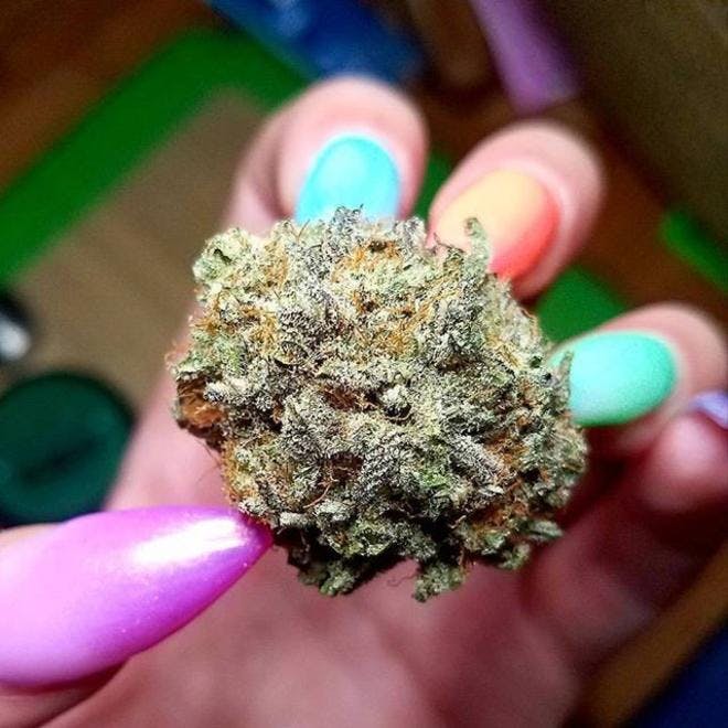 Zips Cannabis | SODO