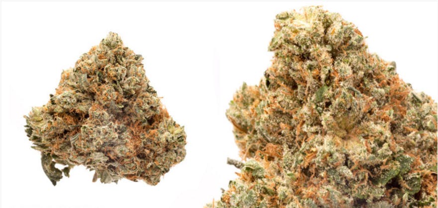 LA Cannabis Co - Los Angeles