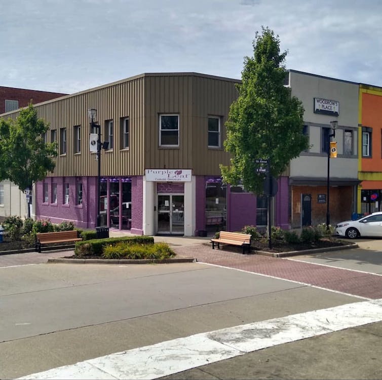Purple Leaf LLC