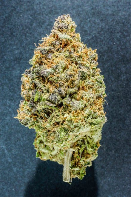 Local Herb Collective