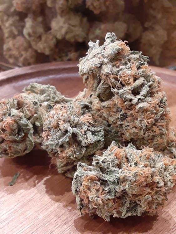 Lake & Leaf - Benzonia (Medical)