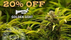 Golden Goat (25.10% THC) - 20% OFF