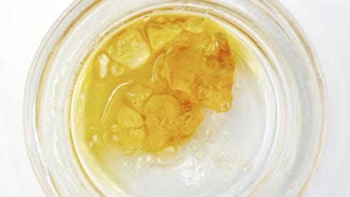 Terpy Tuesday - 10% off Extracts!