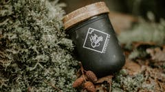 Forage Friday - Budtender Picks!