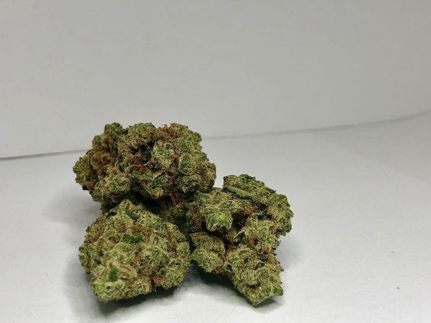 Rocky Mountain Cannabis Gunnison