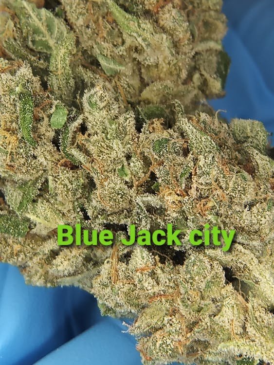 3 Bud's Dispensary