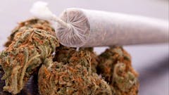 Monday Special - All Pre Rolled Joints 10% Off!