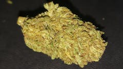 Blowout Sale $100.00 off OZ