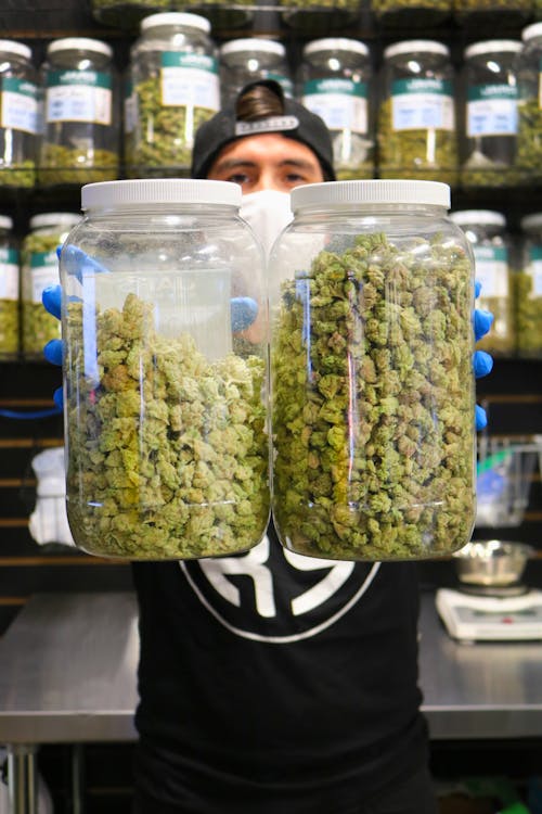 JARS Cannabis - Metrocenter (Med)