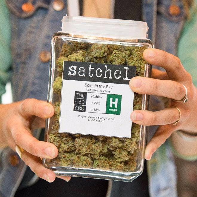 Satchel