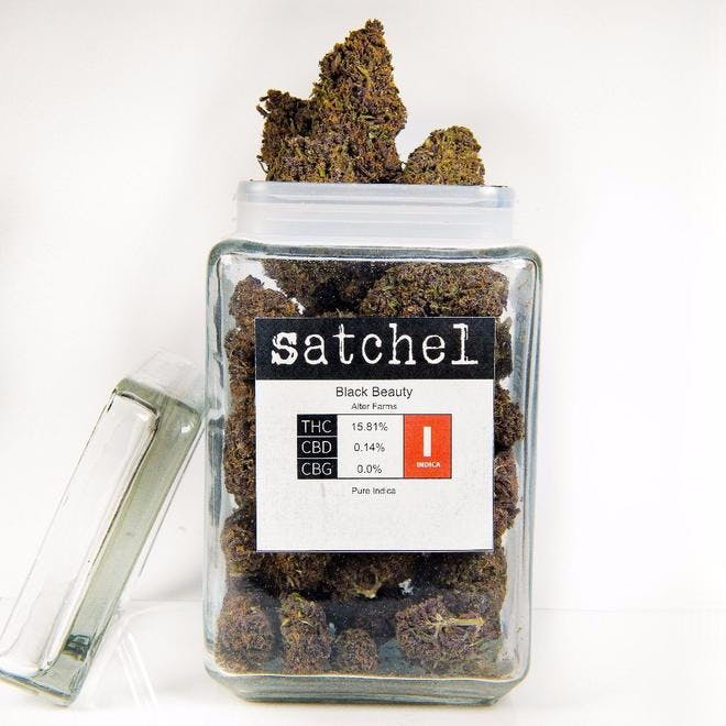 Satchel