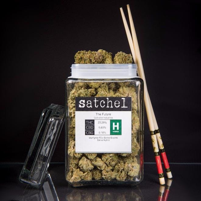 Satchel