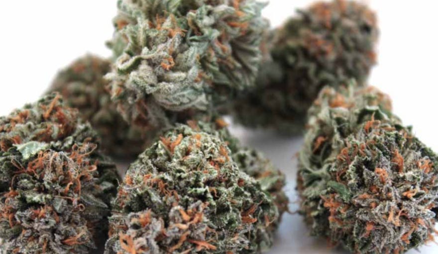 LA Cannabis Co - Los Angeles