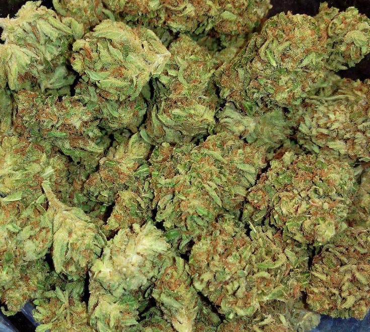 Budlandia - Division St.