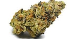 $35 off 14g of GSC!!