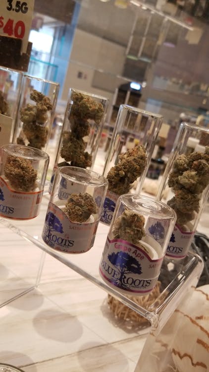 Salish Coast Cannabis