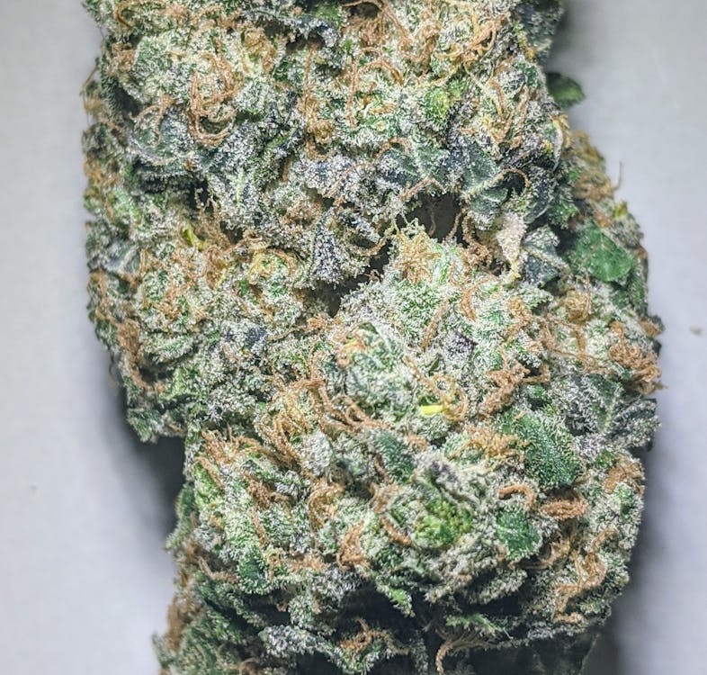Farley’s Cannabis Farm