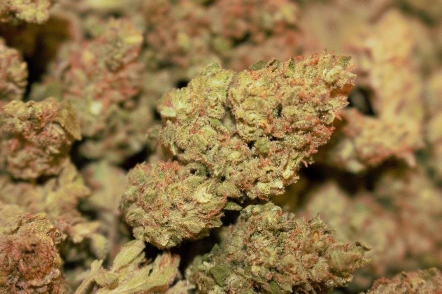 MMJ Apothecary