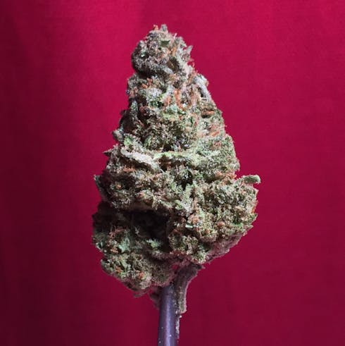 Cherry Pie