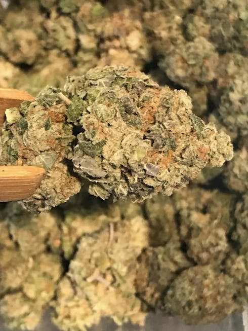 Original Glue