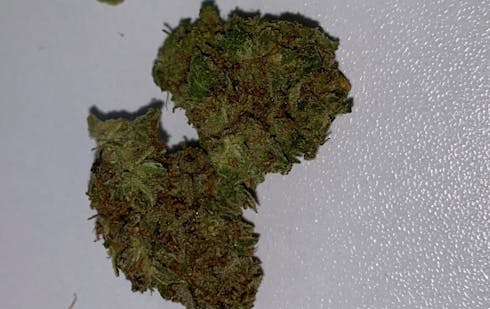 Purple Punch