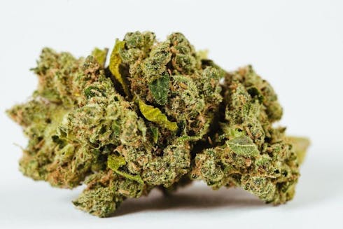 (TIERRA GROW) Nightfire OG - Top Tier