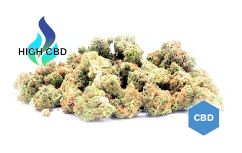 Blue Shark Microbuds (14g) (SWC)