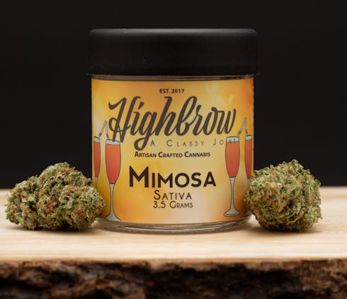 Mimosa