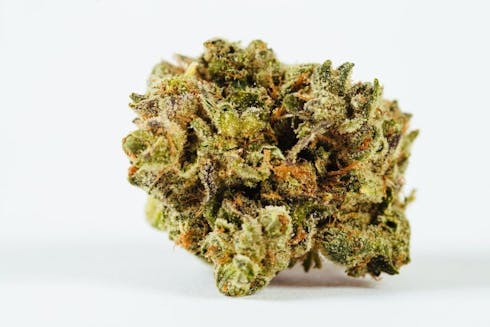 (AERIZ) Tri-Fi OG - Top Tier