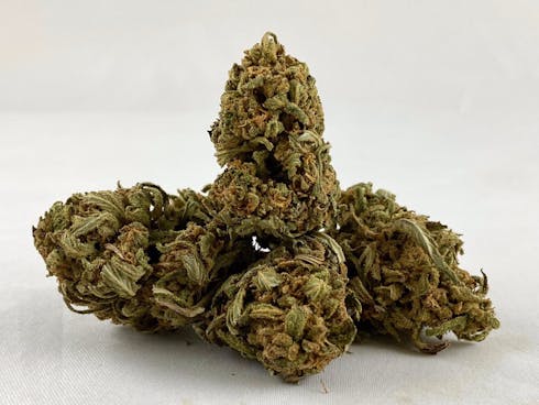 Trainwreck - Sun Sokd