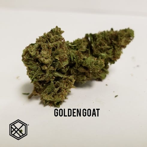 Golden Goat
