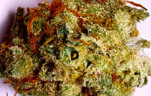 King's Breath - Ultra-Premium Flower 24.81%