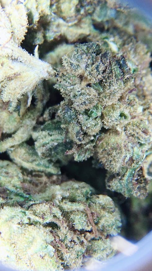 Sour Glue