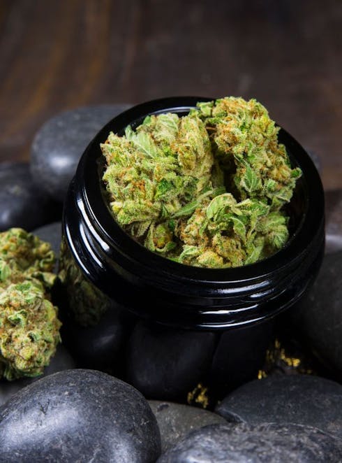 Sour Diesel