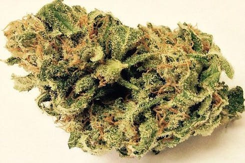 Sugar Lemon Kush