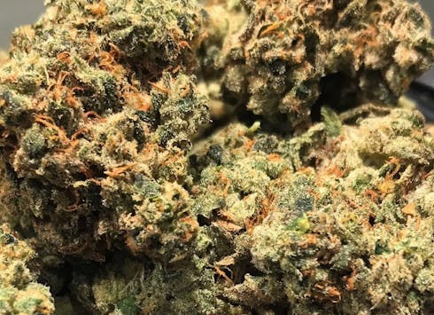 GG_#4
