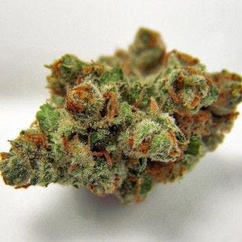 DR. BUBBA (23% THC/ 9.99% CBD)